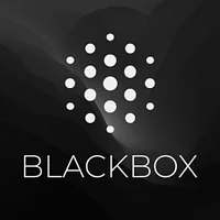 BLACKBOX.AI