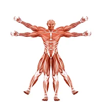 Dr. Muscle logo