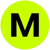 MostlyAI logo