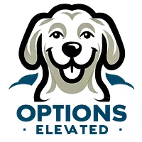 Options Elevated