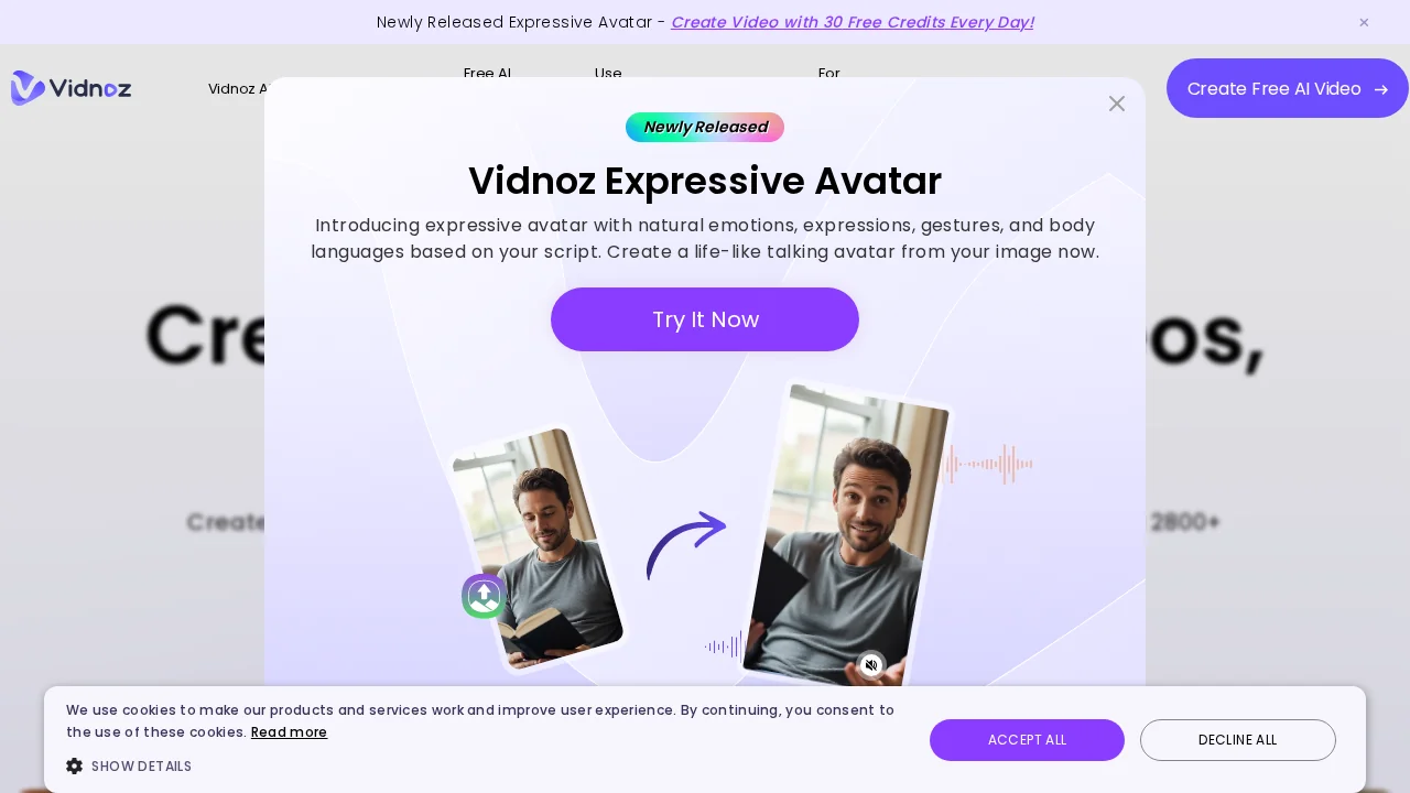 Vidnoz screenshot 1